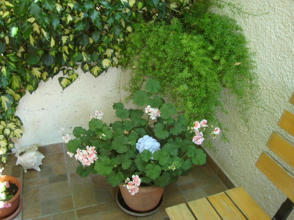 Studio Apartment Lile Trstenik (Dubrovnik-Neretva) Exterior foto