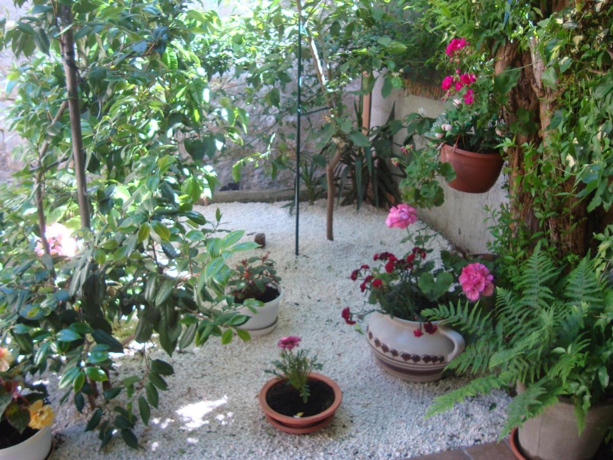 Studio Apartment Lile Trstenik (Dubrovnik-Neretva) Exterior foto