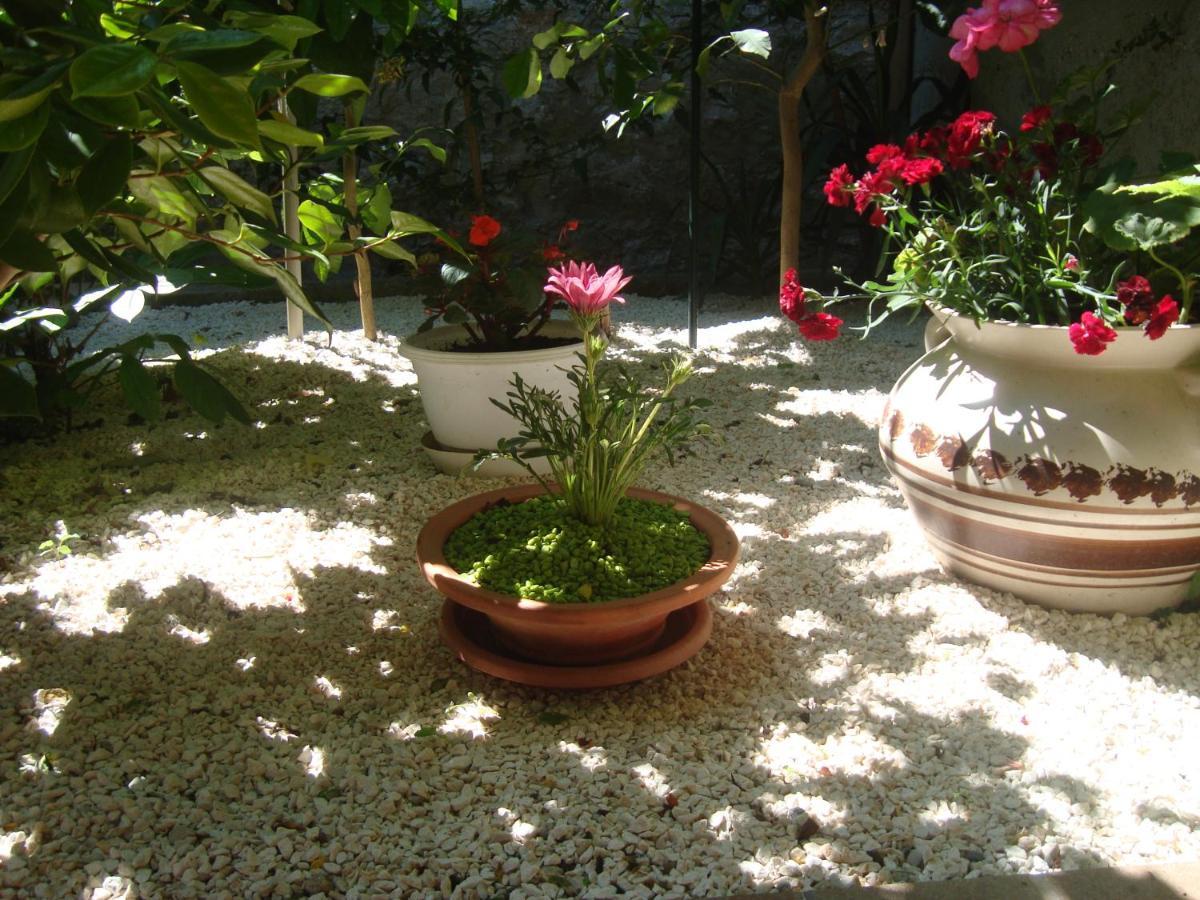 Studio Apartment Lile Trstenik (Dubrovnik-Neretva) Exterior foto